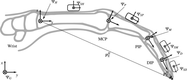 Sagittal view of the left index finger modeled as a kinematic chain with IMU sensor frames
